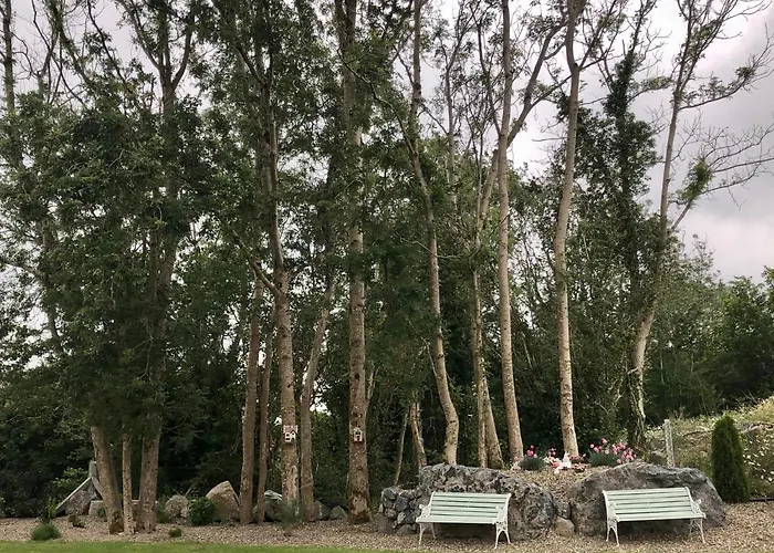 Tir Na Spideoga 恩尼斯