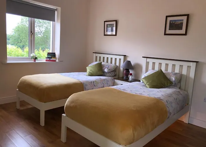 度假居 Tir Na Spideoga 恩尼斯